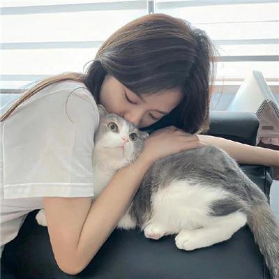 暗金烂狗8