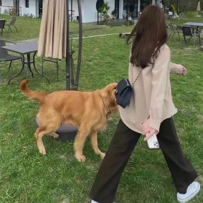 蔡李佛